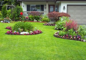 landscaping